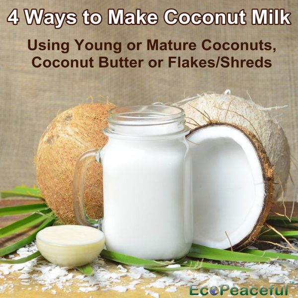 4 Ways to Make Coconut Milk. What Coconut or Coconut Product to Choose for Making Coconut Milk?