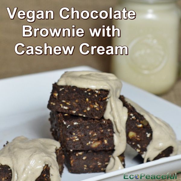 Vegan Chocolate Brownies From Soy Milk Pulp (Okara)